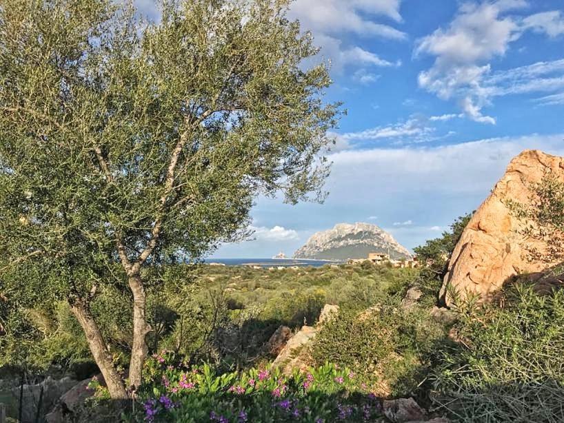 Le Caterine Villa Porto San Paolo  Luaran gambar